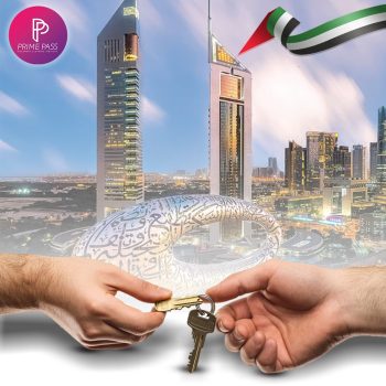 WhatsApp Image 2025-02-15 at 7.38.51 PM